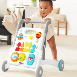 4 in 1 Activity Walker