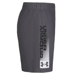 3.0 Wordmark Short 2-4y