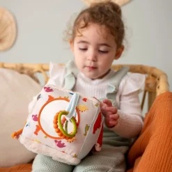 Activity Cube - Dino