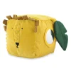 Activity Cube Mr Lion