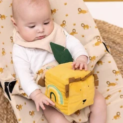 Activity Cube Mr Lion