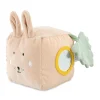 Activity Cube Mrs Rabbit