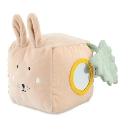Activity Cube Mrs Rabbit