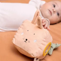 Activity Cube Mrs Rabbit