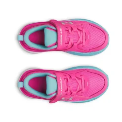 Assert 11 Shoe Sizes 11-3