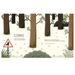 Attention, il y a un loup dans ce livre