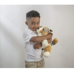 Australian Shepherd Dog