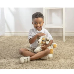 Australian Shepherd Dog