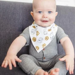 Baby Bandana Bibs (4) - Chip