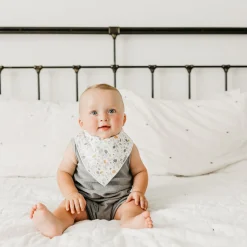 Baby Bandana Bibs (4) - Dinosaurs Rex