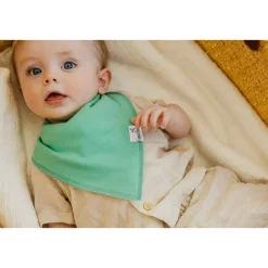 Baby Bandana Bibs (4) - Veggies