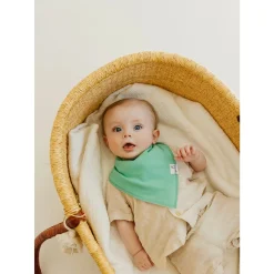 Baby Bandana Bibs (4) - Veggies