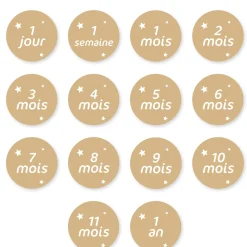 Baby's 1st Year Milestone