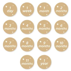 Baby's 1st Year Milestone