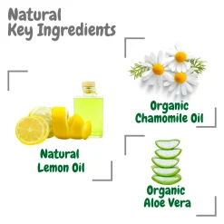 Bamboo Pacifier & Toy Wipes