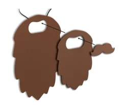 Barber & Cut First Beard