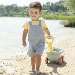 Beach Cart & Accessories