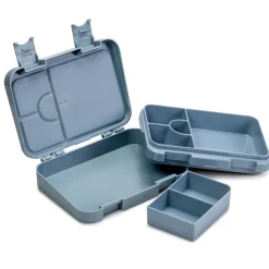 Bento Lunch Box - Dino Ville