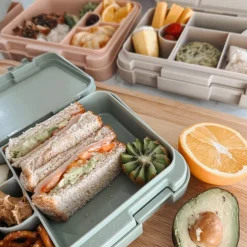 Bento Lunch Box - Dino Ville
