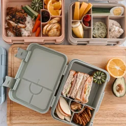 Bento Lunch Box - Dino Ville