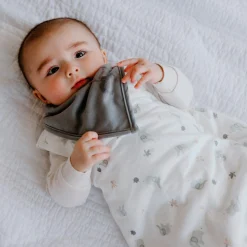 Bibs (3) Bamboo Honey / Foam / Gray