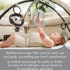 Black & White Décor Developmental Gymini