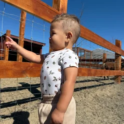 Bodysuits (3) Autumn 0-30m