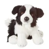 Border Collie Dog