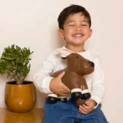 Bruce The Moose Musical Friend