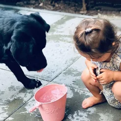 Bucket and Spade - Rust