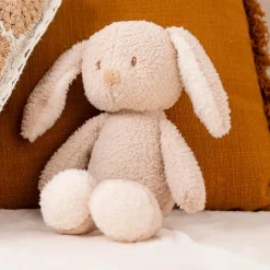 Bunnie Teddy