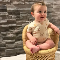 Bunnies 3pk Bodysuit 0-30m