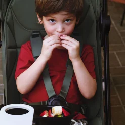 Butterfly 2 Stroller - Desert Taupe