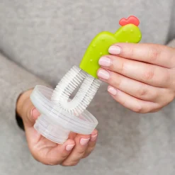 Cacti Brushes Set - Cactus