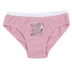 Capybaras 3pk Undies 2-12