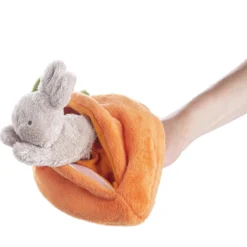 Carrot Learn & Grow 4 Pieces Set