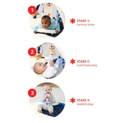 Celestial Dreams Activity Gym