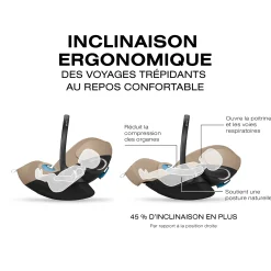 Cloud G Pro Car Seat - Stone Grey