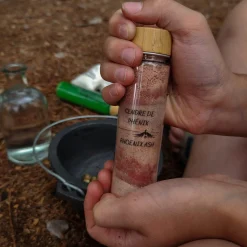 Coffre École De Sorcellerie