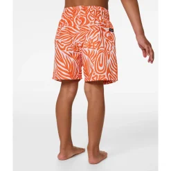 Cosmic Surfing Volley 1-8