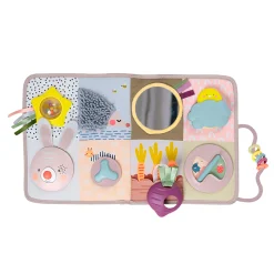 Developmental Activity center