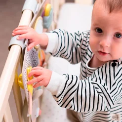 Developmental Activity center