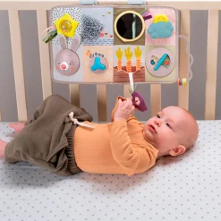 Developmental Activity center