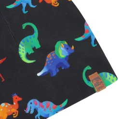 Dinos Hat 2-14