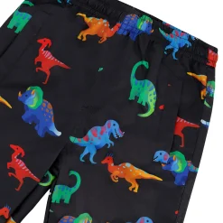 Dinos 3in1 Spring Set 2-6