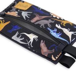 Dinos Pencil Case