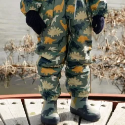 Dinos Rain Boots 4-3