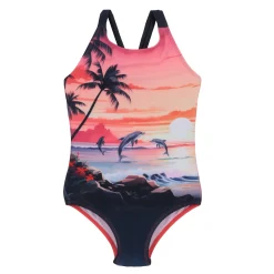 Dolphin Swimsuit 2-14