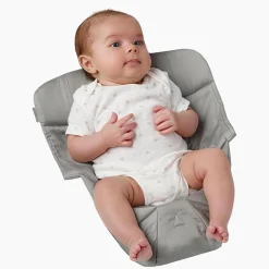 Easy Snug Infant Insert - Original Gray