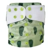 Evolution Washable Diaper - Pickle